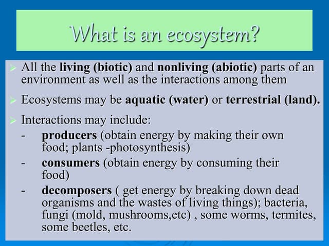 Ecosystem | PPTX | Geography | Science