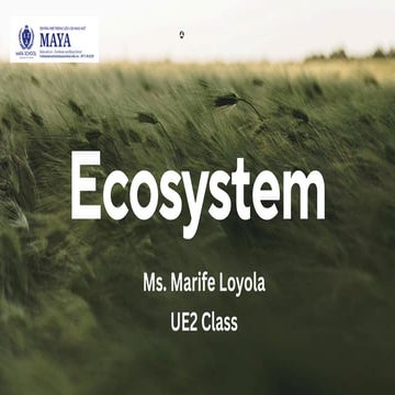 Ecosystem Presentation Ms. Marife (1).pdf