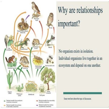 Understanding Ecosystem Balance: Interactions and Disruptions in the ...