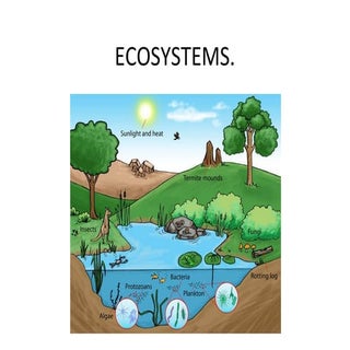 Ecosystems