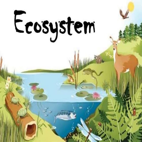 Ecosystems