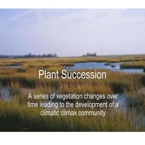 Ecosystems 6 - Intro To Plant Succession
