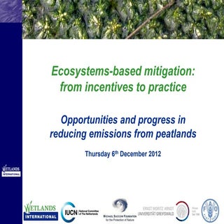 Ecosystems based mitigation: from i...
