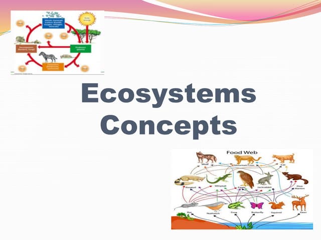 Interactions and Interdependence.pptx