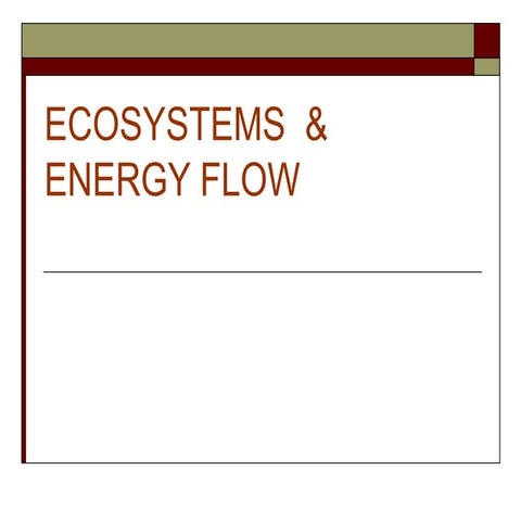 Ecosystemsandenergyflow 111004211916-phpapp02