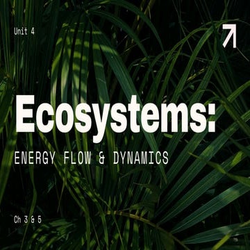 natures cycles and energy transfers for environemtnal science