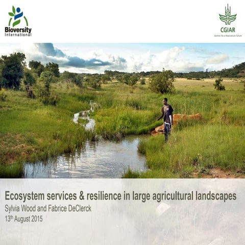 Ecosystem services and resilience in large-scale agricultural landscapes