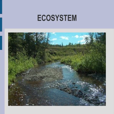 Ecosystem srcm tema 4