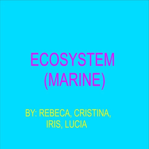 Marine Ecosystem Cristina, Lucia, Iris, Rebeca