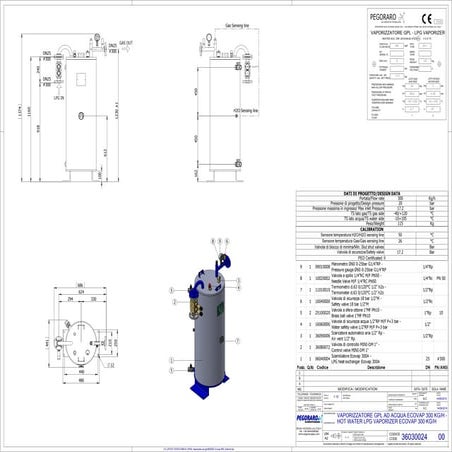 Ecovap 50 kg elettrico con quadro - Ecovap 50 kg eexd electric with ...