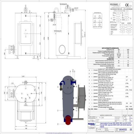 Ecovap 50 kg elettrico con quadro - Ecovap 50 kg eexd electric with ...