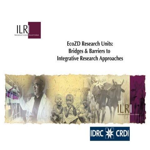EcoZD research units: Bridges and barriers to integrative research approaches