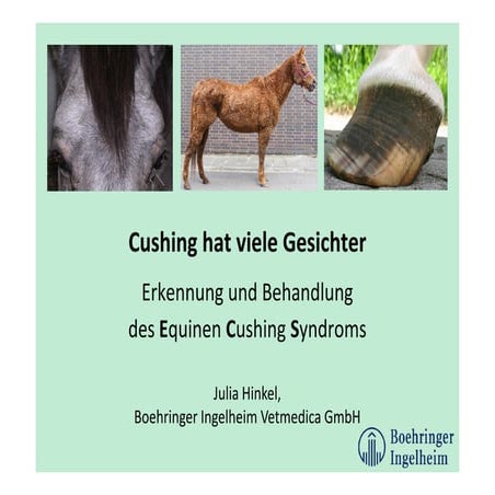 ECS Pferdehalter-Vortrag - November 2013