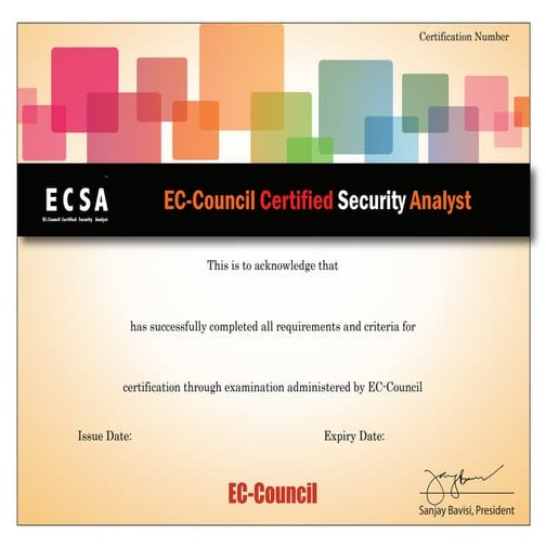 Ekundayo Olukemi EC-Council ECSA certificate