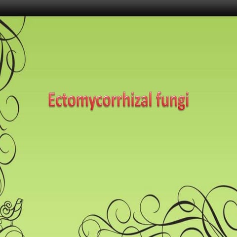 Ectomycorrhizal fungi