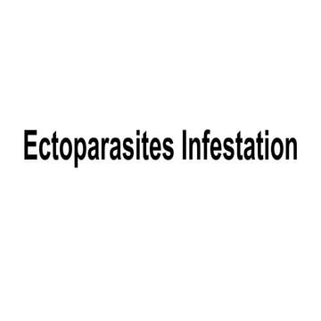 Ectoparasites infestation