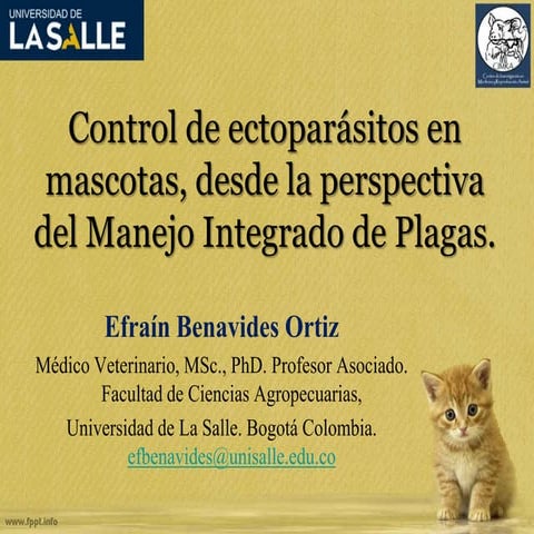 Control de ectoparásitos en mascotas