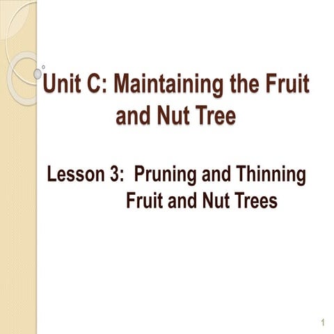 Pruning and Thinning Fruit and Nut Trees