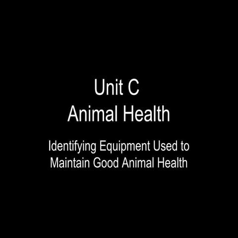Maintain Good Animal Health