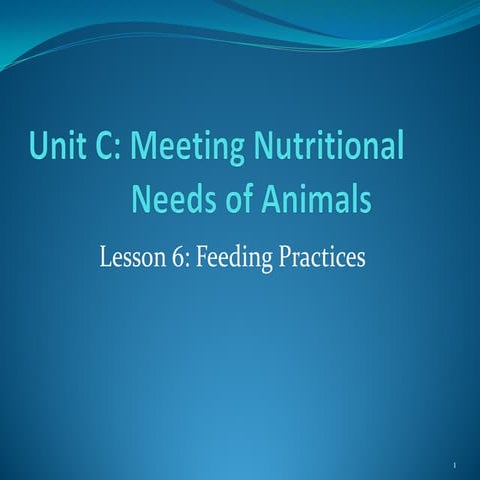 Cattle Feeding Practices