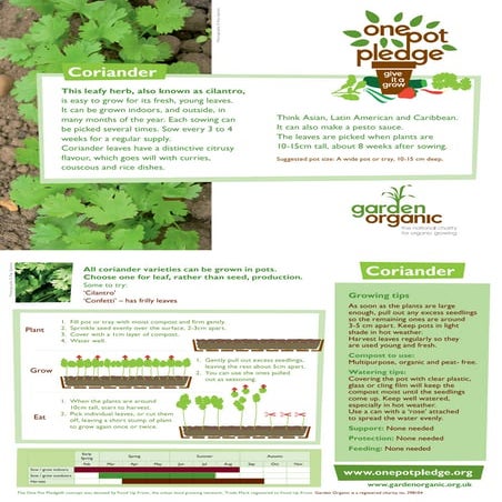 flower seeds in packets 16 Perennial Wildflower Seeds Variety Pack - Over 100,000 Non-GMO, Heirloom  Seeds main image 1