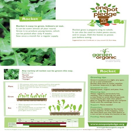 Rocket Salads - Organic Growing Guides for Teachers | PDF