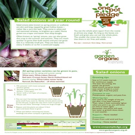Carrots - Organic Growing Guides for Teachers + Students | PDF