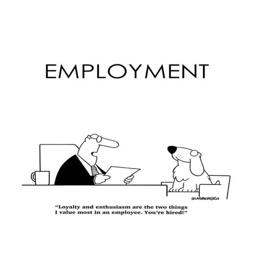 employment