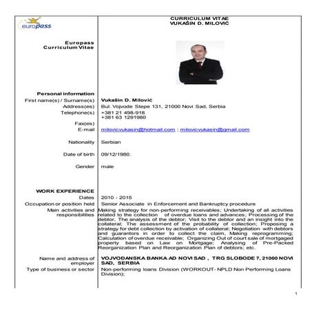 alain-joaris---cv---1st-draft | DOCX