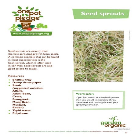 Sprouting Seeds - Teacher + Student Guide | PDF