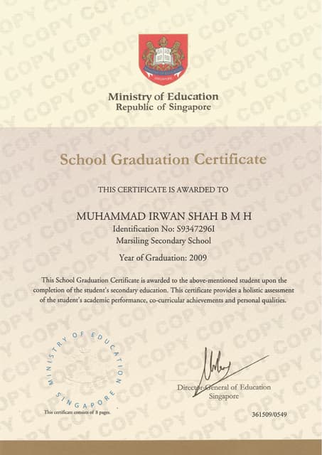 Certificate of Merit Award | PDF