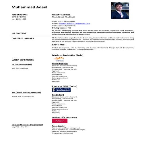 Adeel Mumtaz Niazi CV