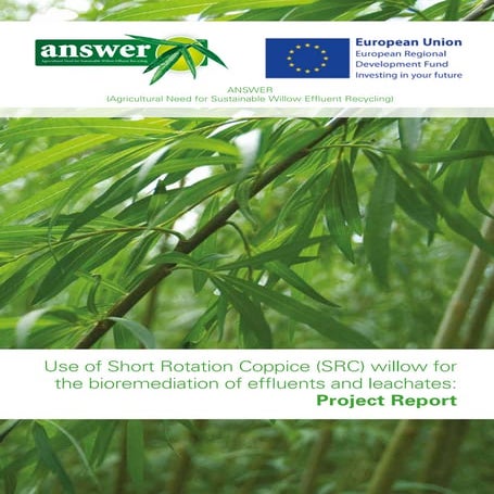 answer_project_report-web