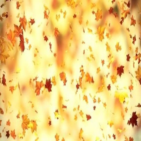 Análisis Explotatorio de Datos: Dejad que la data hable.