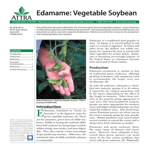 Edamame: Vegetable Soybean