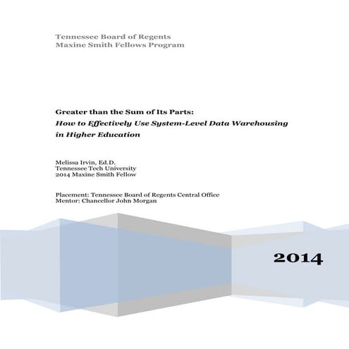 MSF Paper Final Draft_MIrvin_Oct14