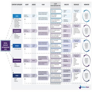Edelman Digital SCO Process