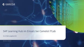 Einführung, Akzeptanz und Nutzung von SAP Learning Hub bei Camelot IT Lab