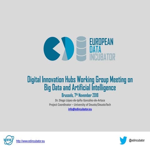 EDI's view on Digital Innovation Hubs Working Group Meeting on Big Data and A...