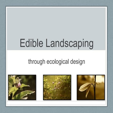 Edible landscaping 1