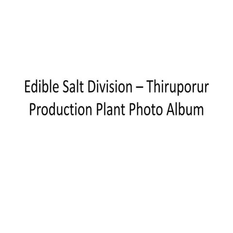 Edible Salt Division – Thiruporur Production Plant Photo