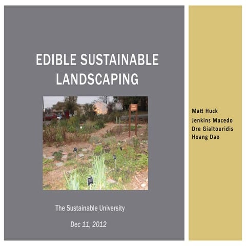 Edible Sustainable Landscaping at Clark University