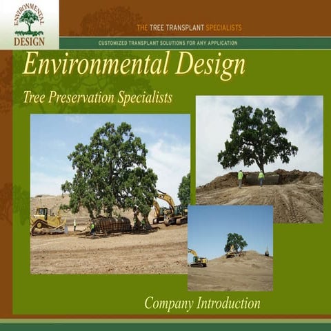 Tree Transplanting | PPTX
