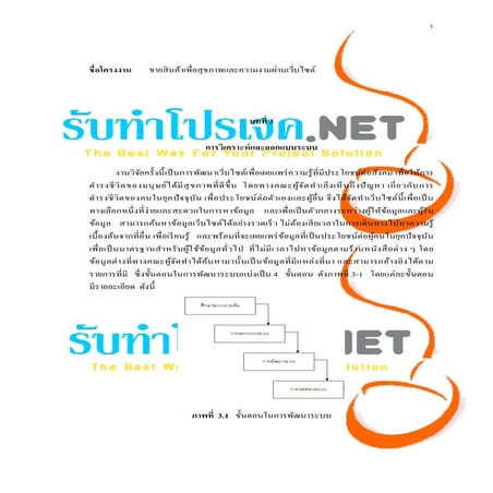 ตัวอย่างบทที่ 3 วิทยานิพนธ์เว็บไซต์เพื่อสุขภาพ