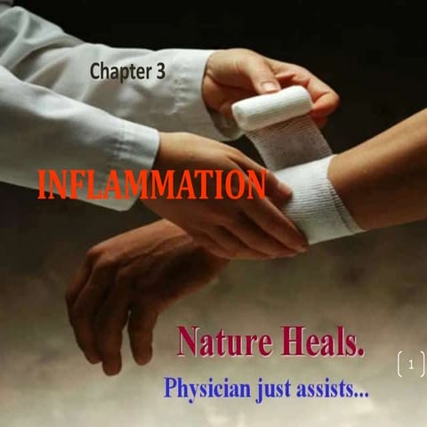 Medical Pathology edited inflammation.pptx