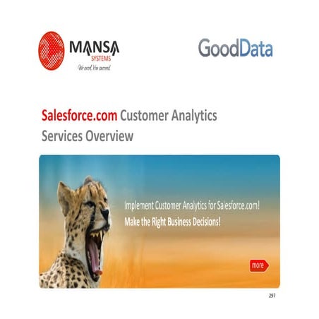 Mansa systems salesforce_customer_analytics_services