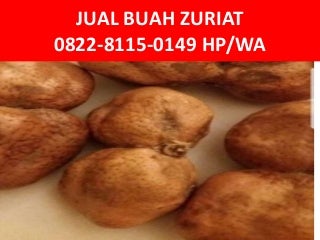 Jual Buah Zuriat Tanah Abang,0822-8115-0149
