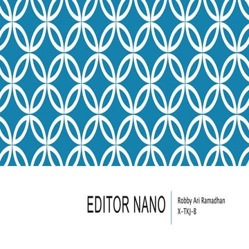 Editor nano robby