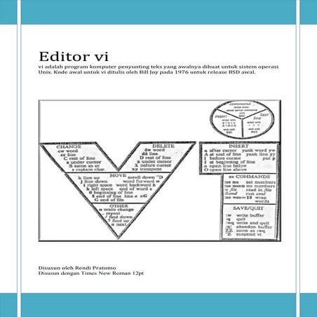 Editor vi 