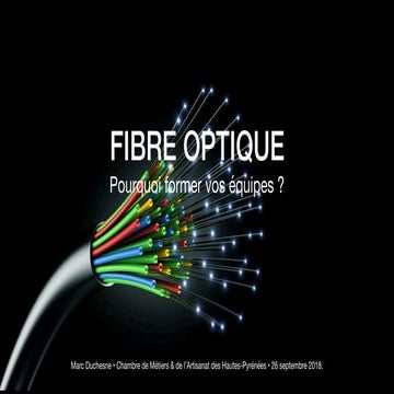 Formations Fibre Optique : Les besoins en Occitanie.